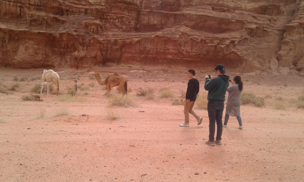 Wadi Rum Light Camp מראה חיצוני תמונה